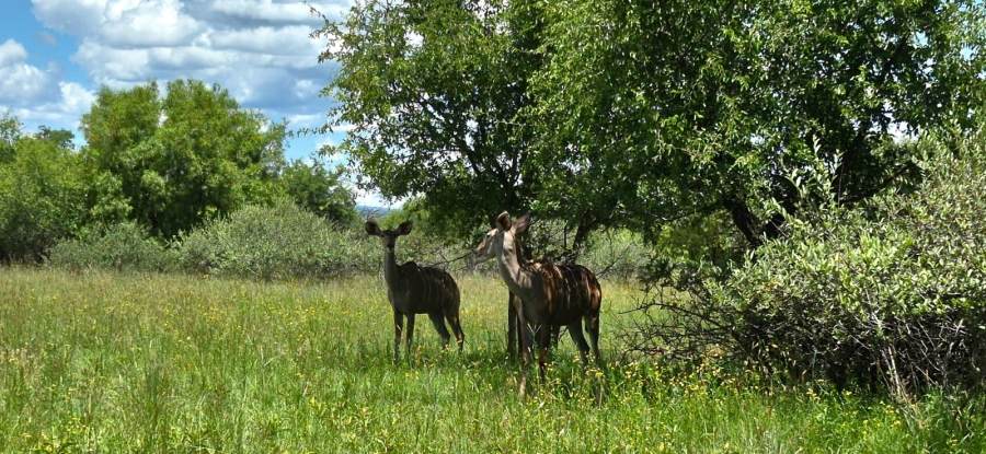 5 Bedroom Property for Sale in Rustenburg Rural North West